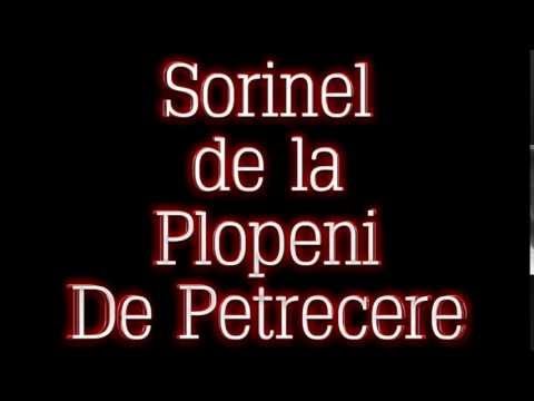 sorinel de la plopeni finule bine ai venit